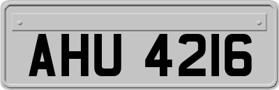 AHU4216