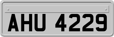AHU4229