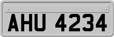 AHU4234