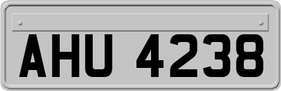 AHU4238