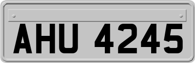 AHU4245