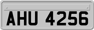 AHU4256