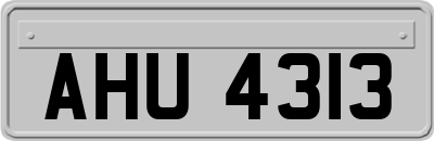 AHU4313