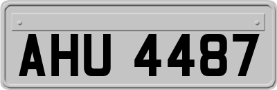 AHU4487