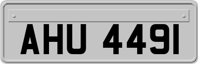 AHU4491