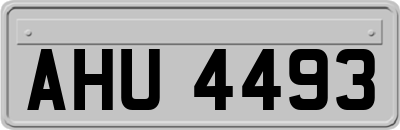 AHU4493