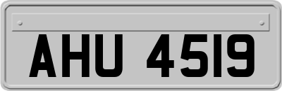 AHU4519