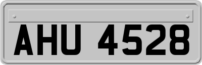 AHU4528