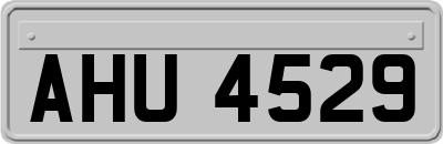 AHU4529