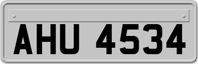 AHU4534