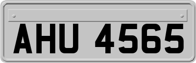 AHU4565