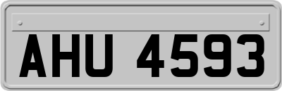 AHU4593
