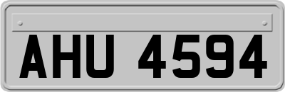 AHU4594