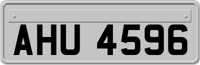 AHU4596