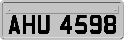 AHU4598
