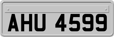 AHU4599