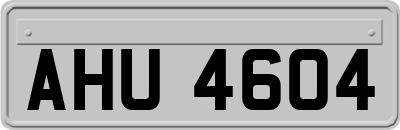 AHU4604