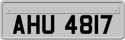 AHU4817