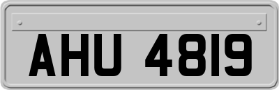 AHU4819