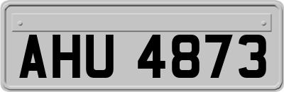 AHU4873