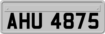 AHU4875