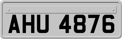 AHU4876