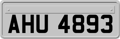 AHU4893
