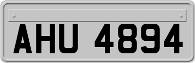 AHU4894