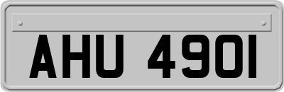AHU4901