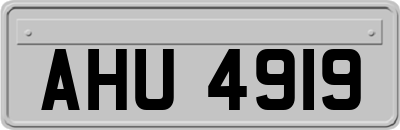 AHU4919