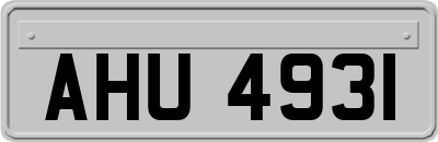 AHU4931