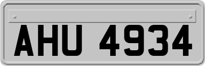 AHU4934