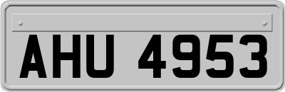 AHU4953