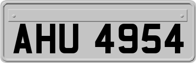 AHU4954