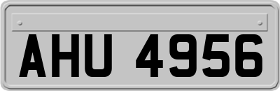 AHU4956