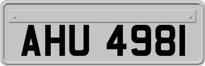 AHU4981