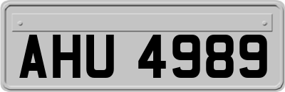 AHU4989