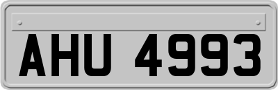 AHU4993