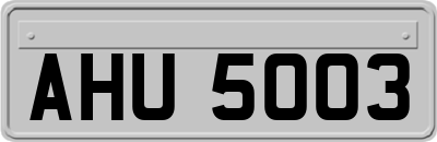 AHU5003