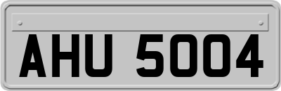 AHU5004