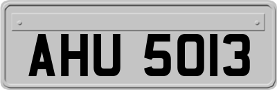 AHU5013