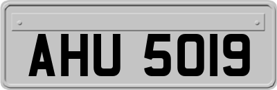 AHU5019