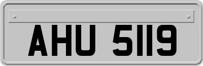 AHU5119