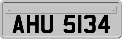 AHU5134