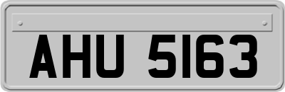 AHU5163