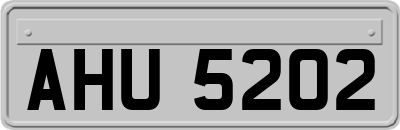 AHU5202