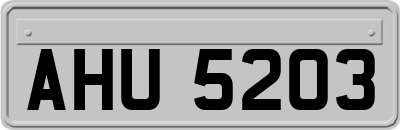 AHU5203