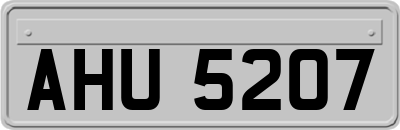 AHU5207