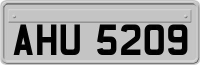 AHU5209