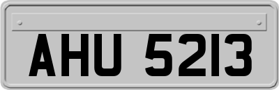 AHU5213
